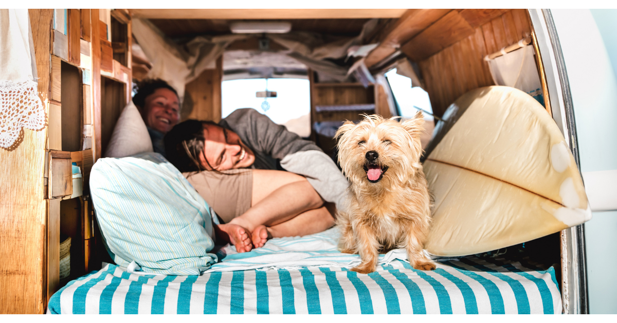 Essential Camping Tips and Tricks for an Amazing Adventure