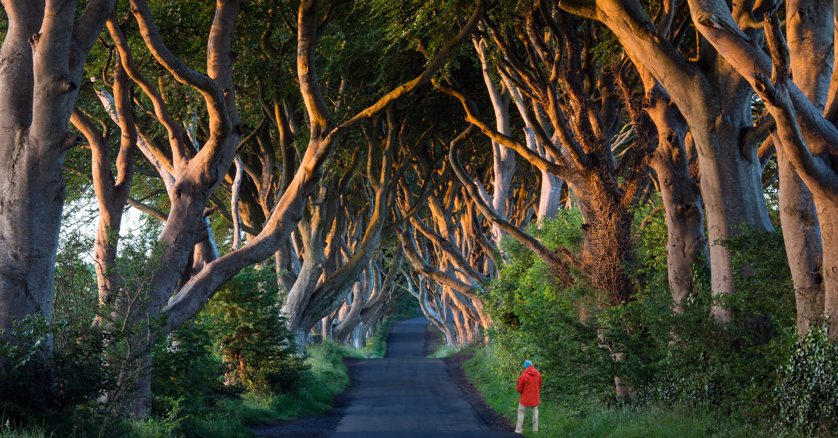 Game of Thrones Tour